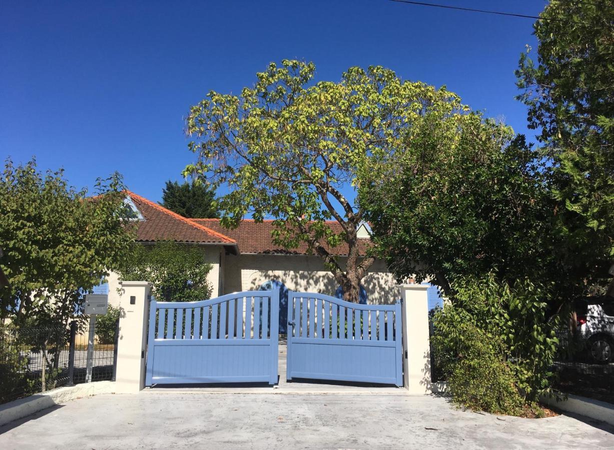 Chambres D'Hote Le Cedre Bleu Saint-Jean  ภายนอก รูปภาพ